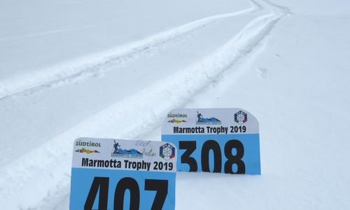 marmotta-trophy